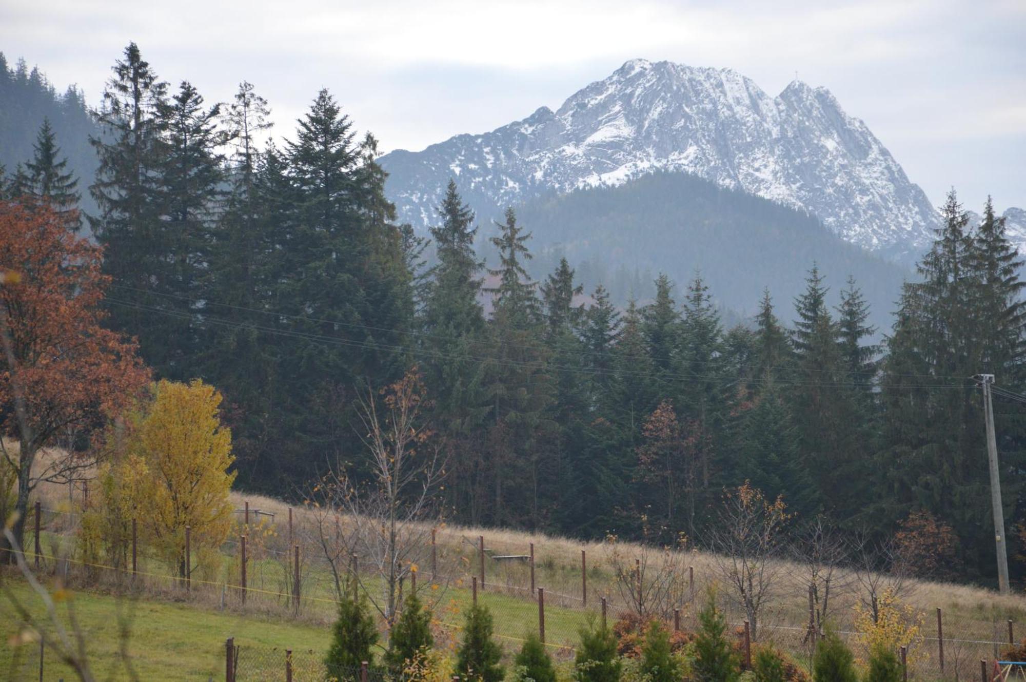 Msc Apartments Honeymoon Zakopane Room photo