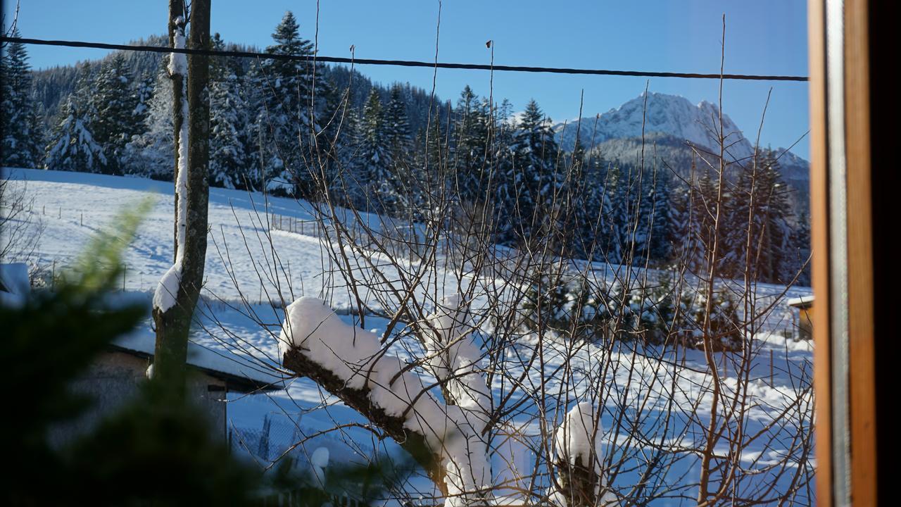 Msc Apartments Honeymoon Zakopane Exterior photo