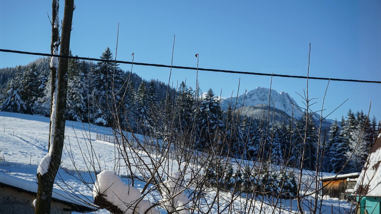 Msc Apartments Honeymoon Zakopane Exterior photo